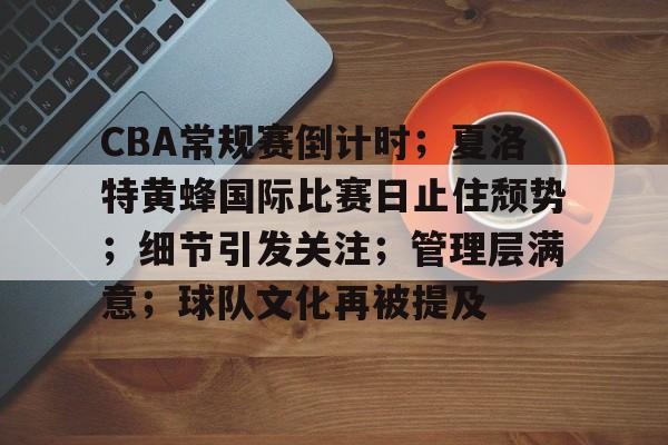 开云-CBA常规赛倒计时；夏洛特黄蜂国际比赛日止住颓势；细节引发关注；管理层满意；球队文化再被提及的简单介绍